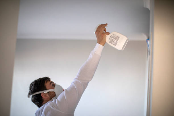 Best Mold Removal Company Near Me  in Julian, CA