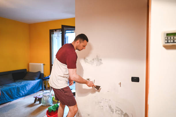 Best Attic Mold Removal  in Julian, CA